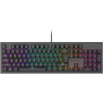 Genesis Tastatura mecanica cu fir pentru gaming Genesis Thor 303, RGB, Lungime cablu 1.8m, Switch Outemu Red, Negru