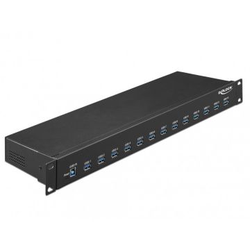 Delock Hub industrial 19 13 porturi USB 3.1-A Gen 1, Delock 64039