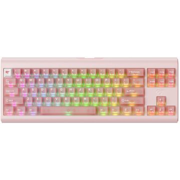 HAVIT Tastatura mecanica gaming HAVIT KB896L x VKS, USB-C, 350mA, Cablu 1.2m, 5V, Iluminare RGB, 360 x 132 x 40 mm , Roz