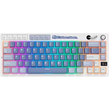 ROYAL&nbsp;KLUDGE Tastatura Gaming Royal Kludge RK-M65, Beige switch, iluminare RGB, Wired, Wireless 2.4Gzh, Bluetooth Albastru-Alb