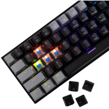 White&nbsp;Shark Tastatura Gaming White Shark WAKIZASHI 2 US Blue Switch Mecanica Negru/Gri
