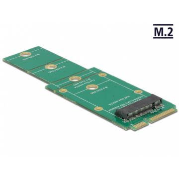 Adaptor M.2 NGFF la mSATA, Delock 62592
