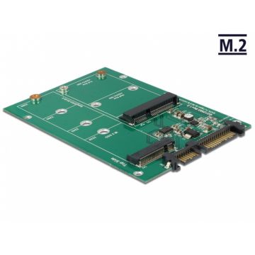Convertor SATA 22 pini la 1 x M.2 NGFF + 1 x mSATA, Delock 62670