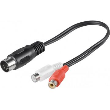 Adaptor DIN 5 pini la 2 x RCA T-M 0.2m, Goobay G50002