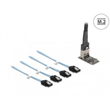 Controller M.2 2242 Key B+M la 4 x SATA 1m, Delock 64260