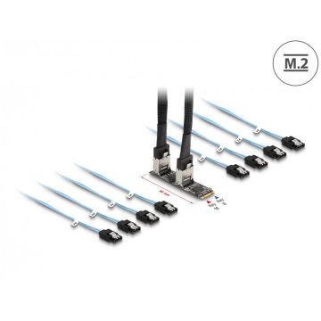 Convertor M.2 2280 Key B+M la 8 x SATA, Delock 64211