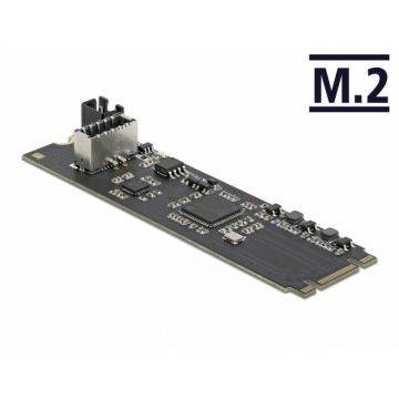 Convertor M.2 Key B+M cu un port intern USB 3.2 Gen 2 key A 20 pini T-M, Delock 63330