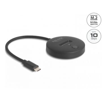 Docking station USB 3.2 type C la SSD M.2 NVMe / SATA, Delock 64254