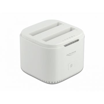 Docking Station USB-C 3.2 pentru 2 x 2.5