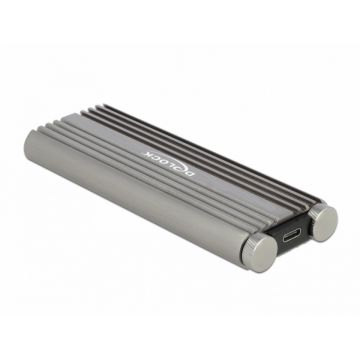 Rack extern SuperSpeed USB 20 Gbps (USB 3.2 Gen 2x2)-C la M.2 NVMe PCIe SSD, Delock 42001