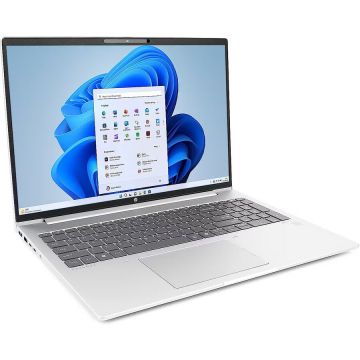 HP Laptop HP ProBook 465 G11, AMD Ryzen 5 7535U, 16 inch, RAM 32 GB, SSD 2 TB, Radeon 660M, Windows 11, Argintiu
