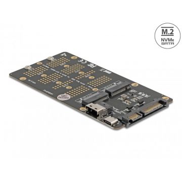 Convertor M.2 Key M NVMe SSD la SFF-8654 si M.2 Key B SATA SSD la SATA, Delock 64355